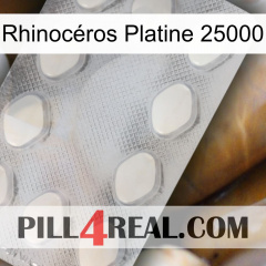 Rhinocéros Platine 25000 16